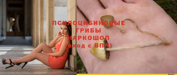спайс Абаза