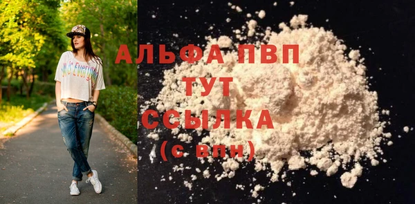 ГАЛЛЮЦИНОГЕННЫЕ ГРИБЫ Осташков