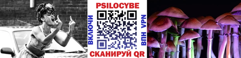 Псилоцибиновые грибы Psilocybine cubensis Щёлкино